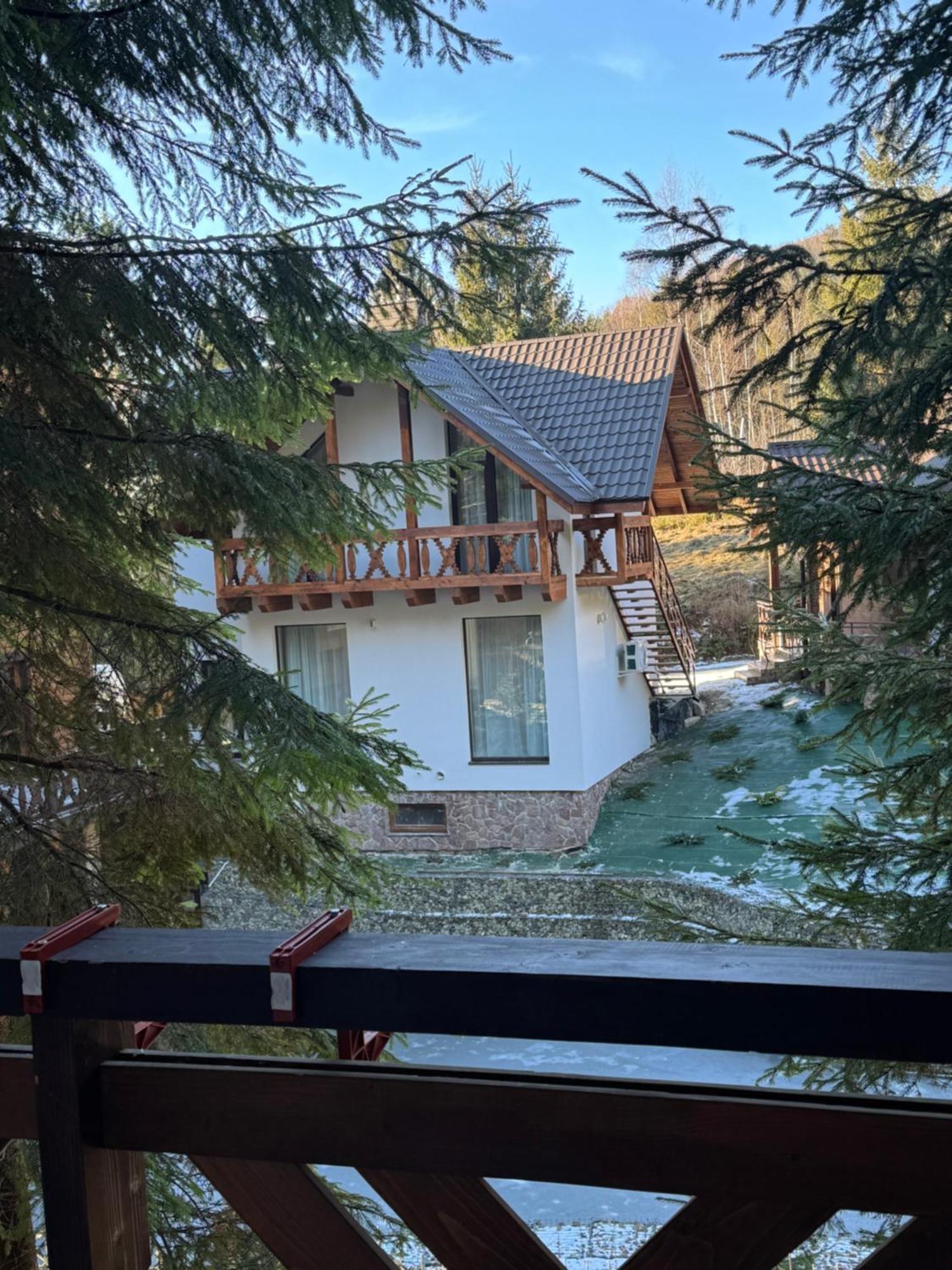 Karpatski Dzherela Jaremče Exteriér fotografie