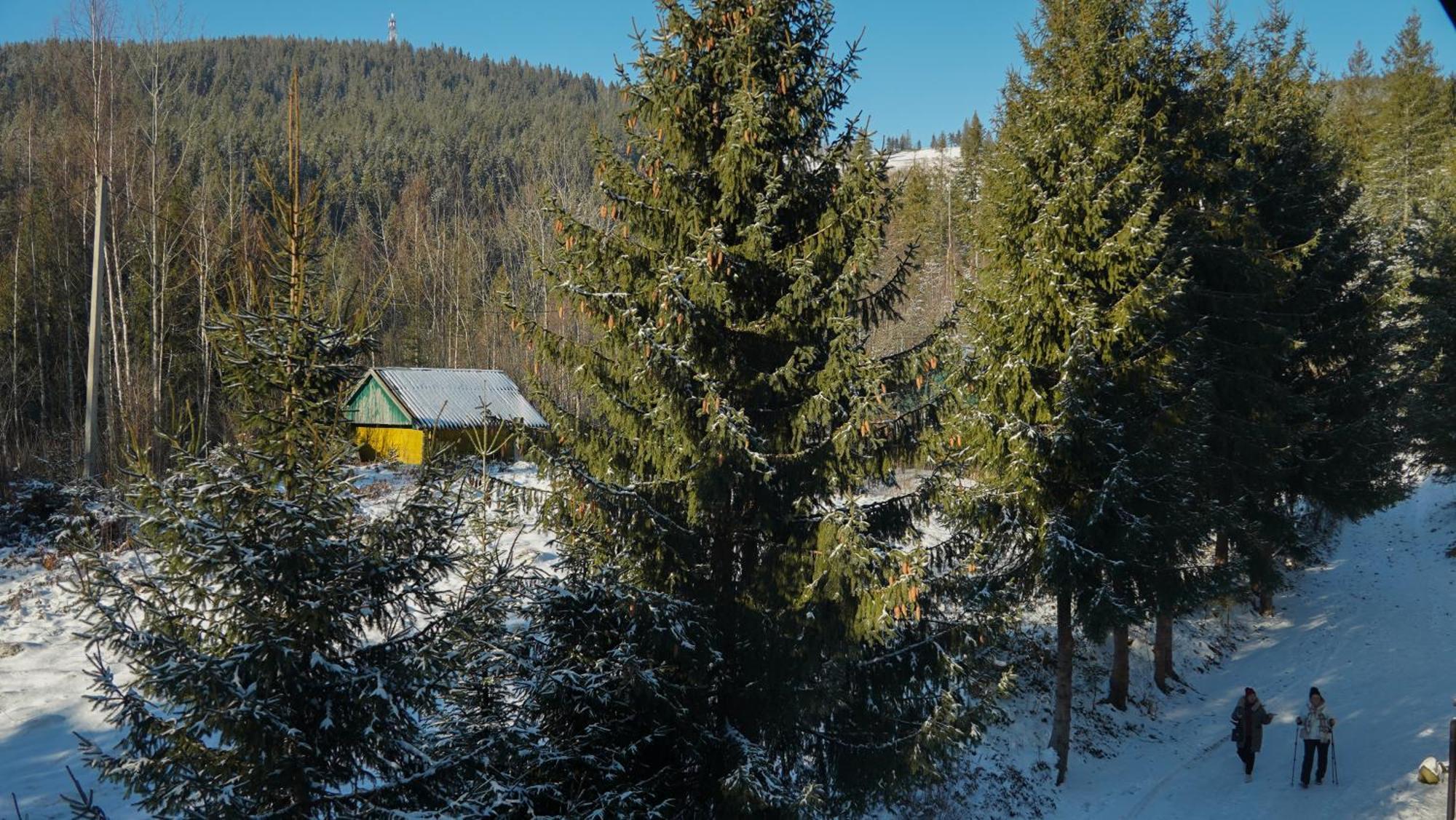 Karpatski Dzherela Jaremče Exteriér fotografie
