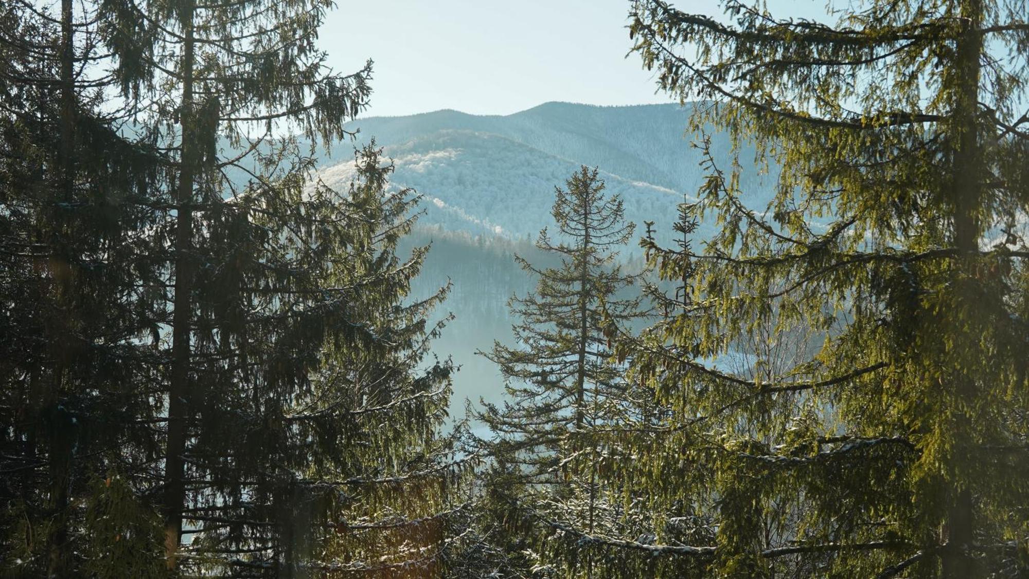 Karpatski Dzherela Jaremče Exteriér fotografie